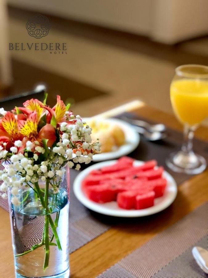 Hotel Belvedere Araras - Facil Acesso Hospital Sao Leopoldo E Faculdades Eksteriør billede